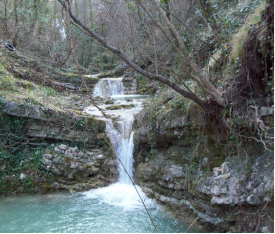Bosco di Montesorbo e cascate "Vallone Ferrato"